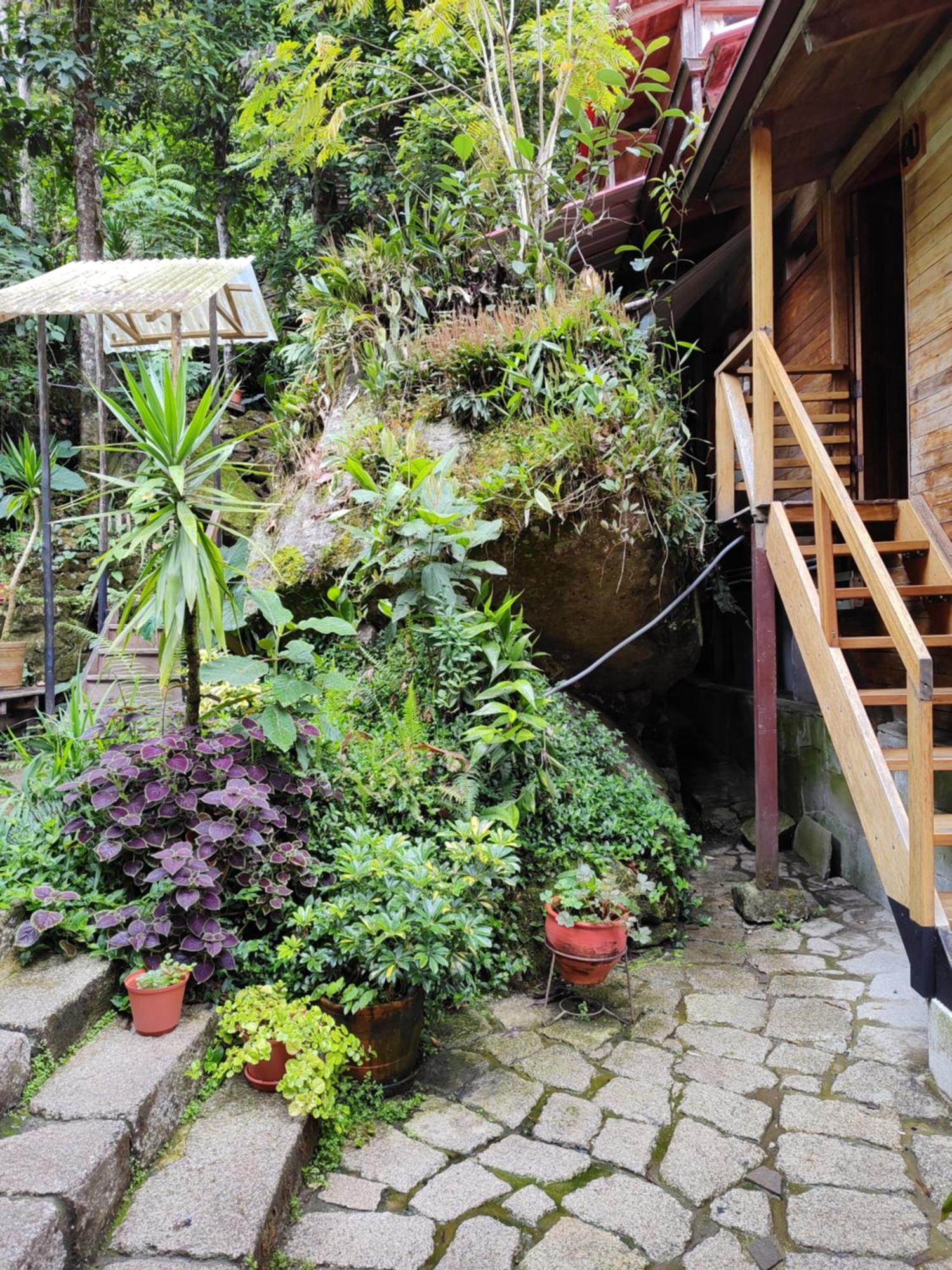 Tree House Lodge Machu Picchu Ngoại thất bức ảnh